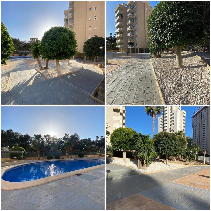 Casa Bendita - Luxury Apartment 貝尼多姆 外观 照片