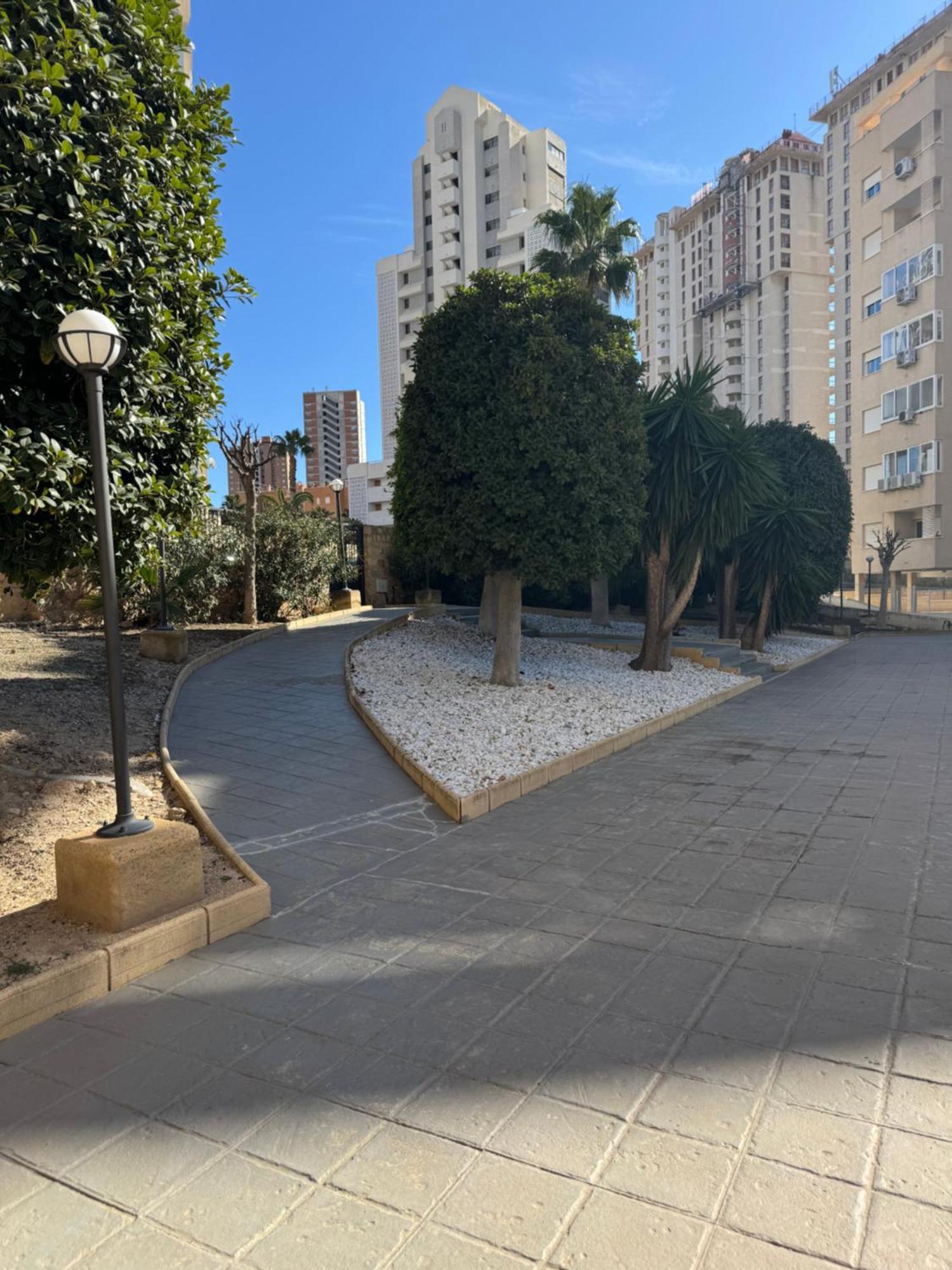Casa Bendita - Luxury Apartment 貝尼多姆 外观 照片