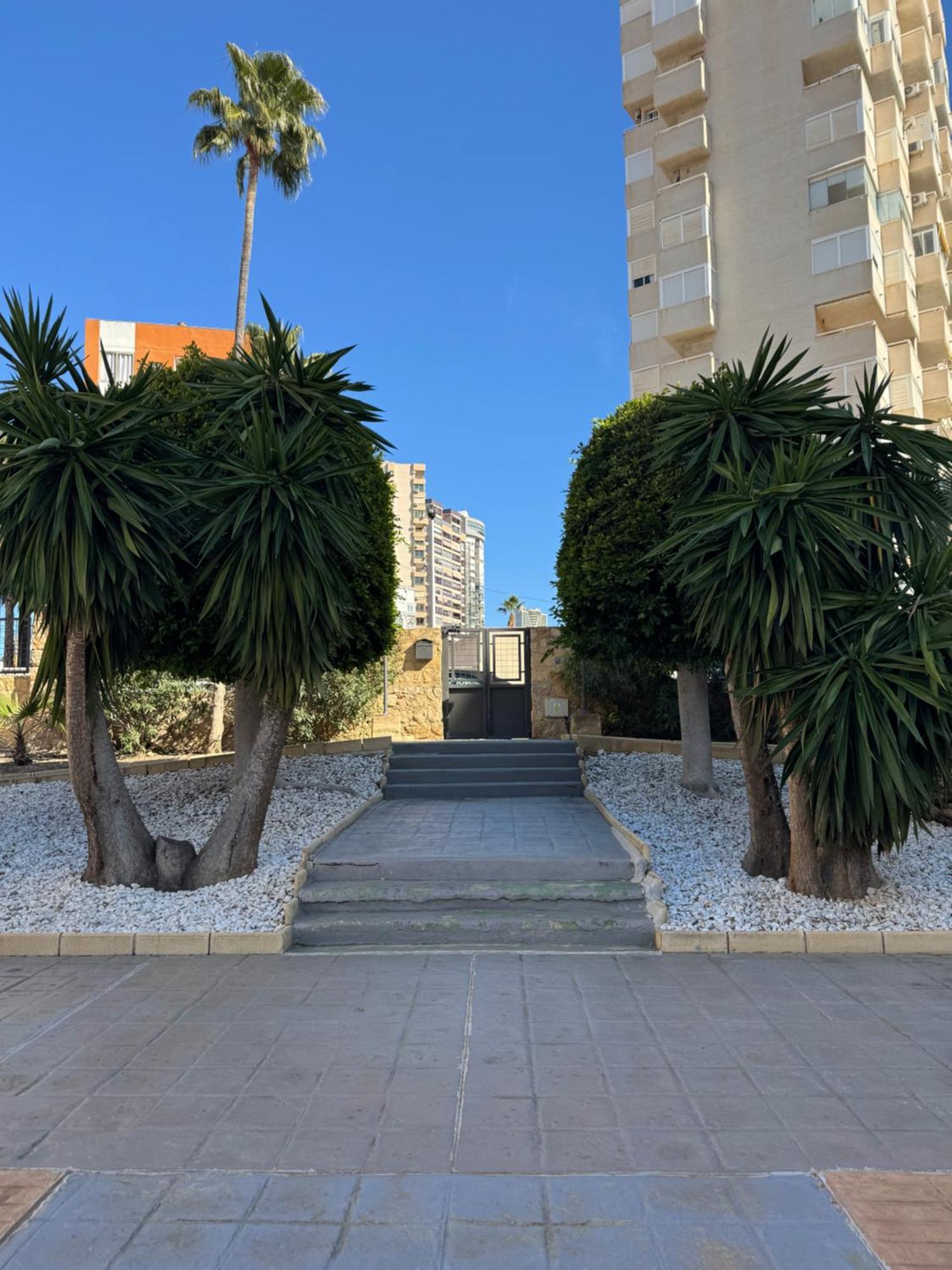 Casa Bendita - Luxury Apartment 貝尼多姆 外观 照片
